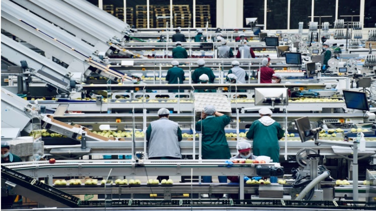 Food manufacturing employees working alongside a conveyor belt.