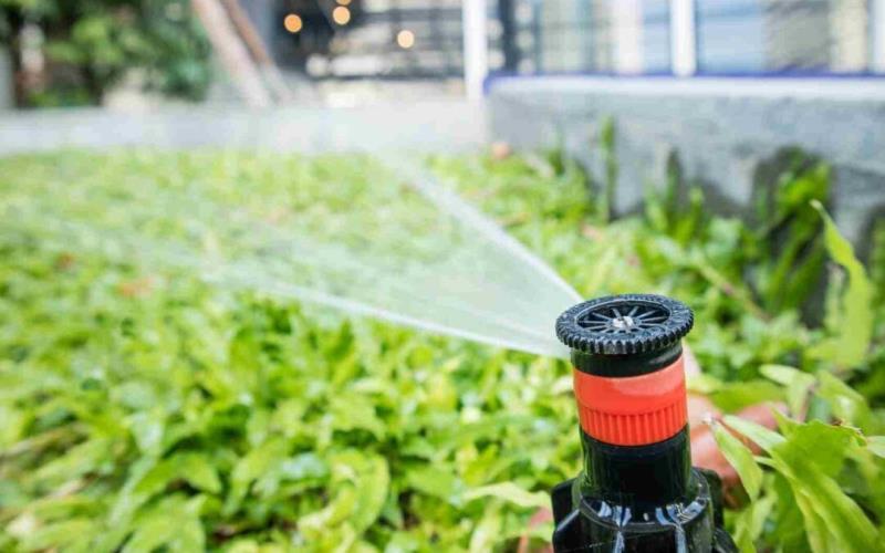 Perth Irrigation Everything You Need for Efficient Watering