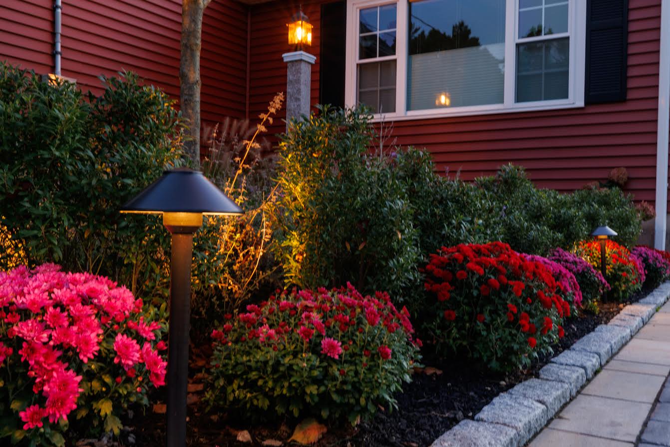 Top Landscaping Trends for 2025