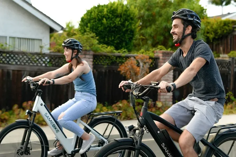 E-Bike Battery
